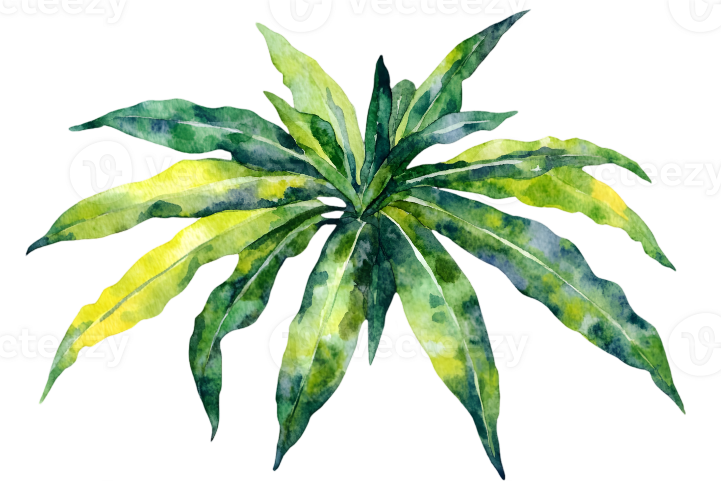 Watercolor Green Leaves Isolated on Black Background with Botanical Foliage Design for Print or Wallpaper and Natural Art Elements png