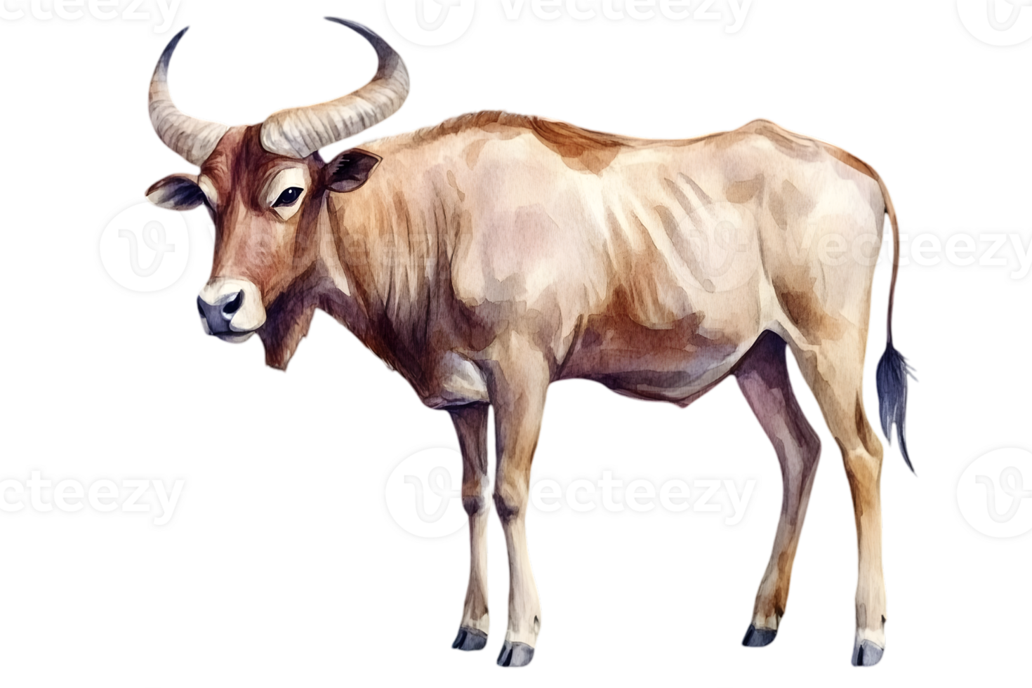 Watercolor Illustration of a Brown Wildebeest with Twisted Horns on a Transparent Background Wildlife Art png