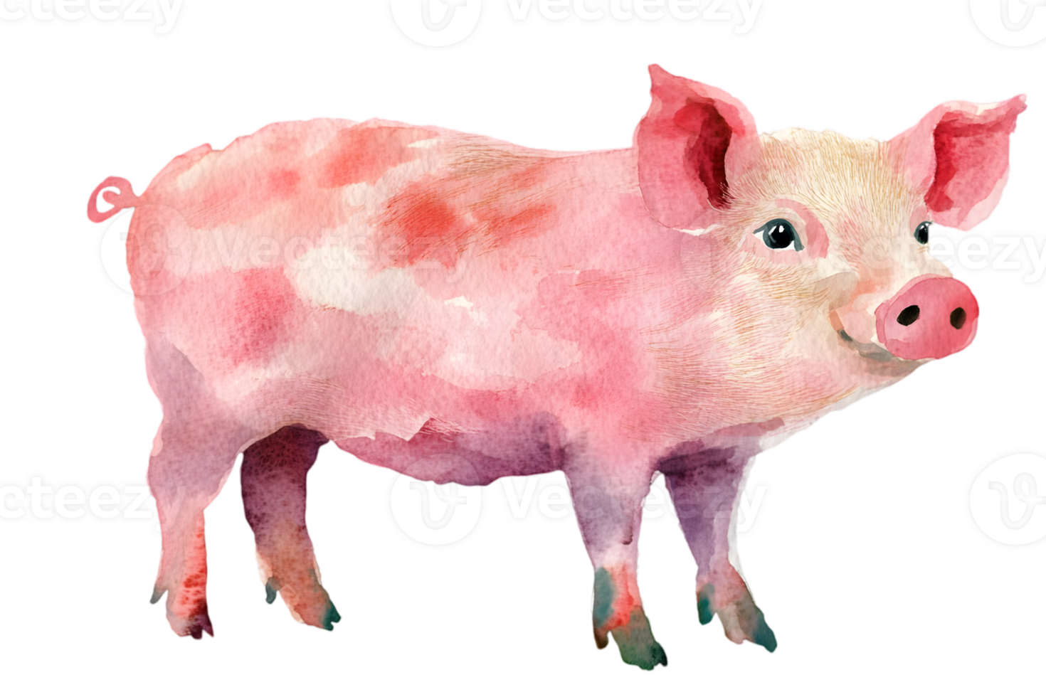 Watercolor Illustration of a Pink Pig with Realistic Details Isolated on a Transparent Background in Soft Light and Delicate Brushstrokes png