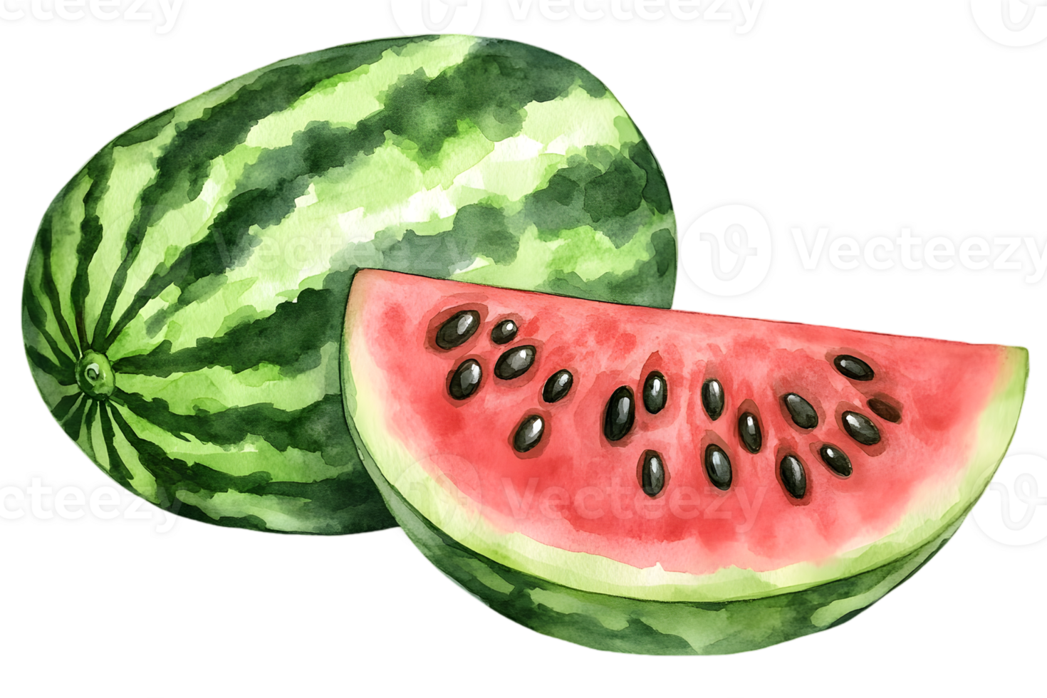 Watercolor Illustration of a Whole and Sliced Watermelon with Red Flesh and Black Seeds on a Transparent Background png