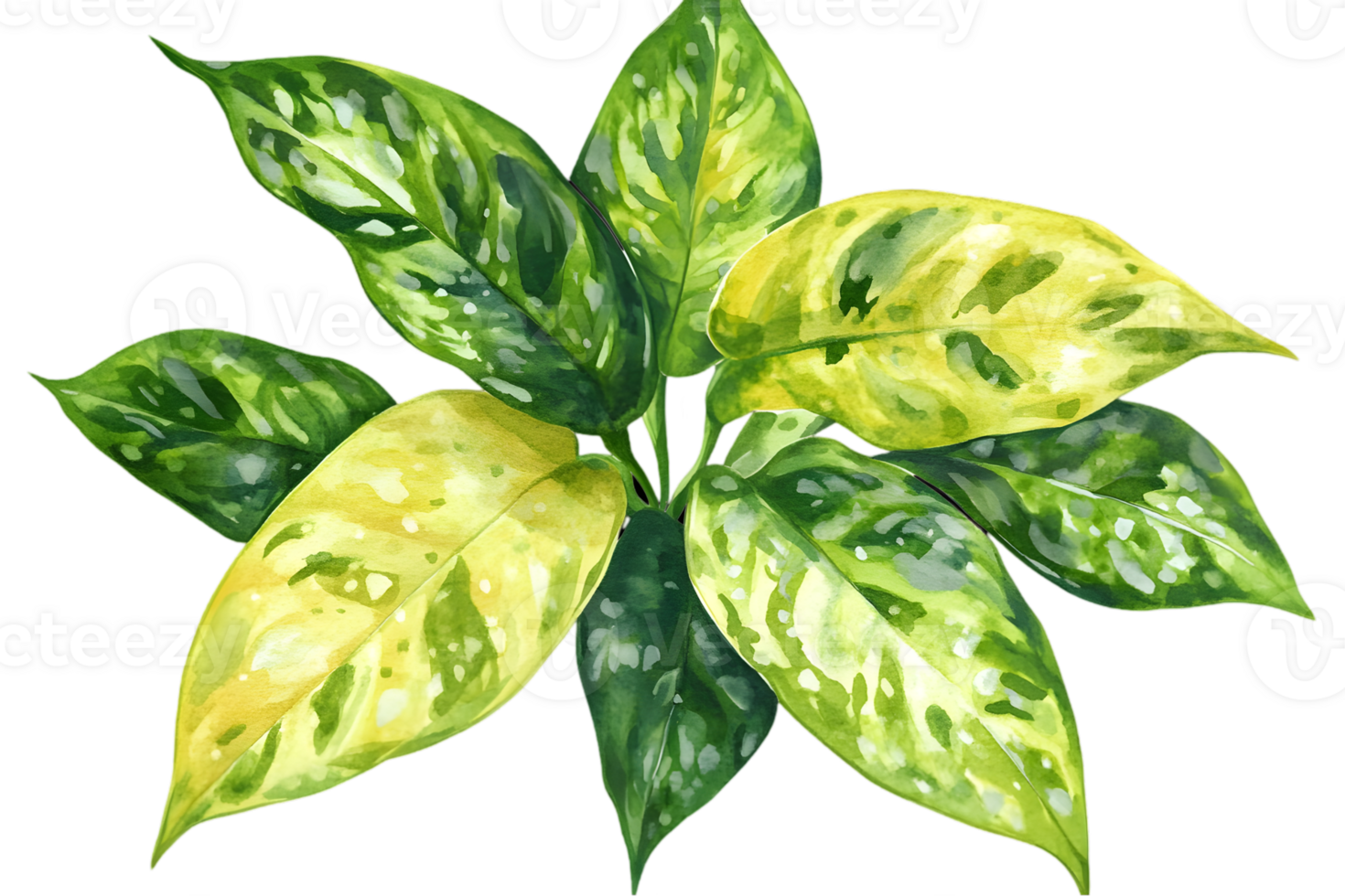 Watercolor Green and Yellow Leaves with Intricate Veins and Patterns on Transparent Background png