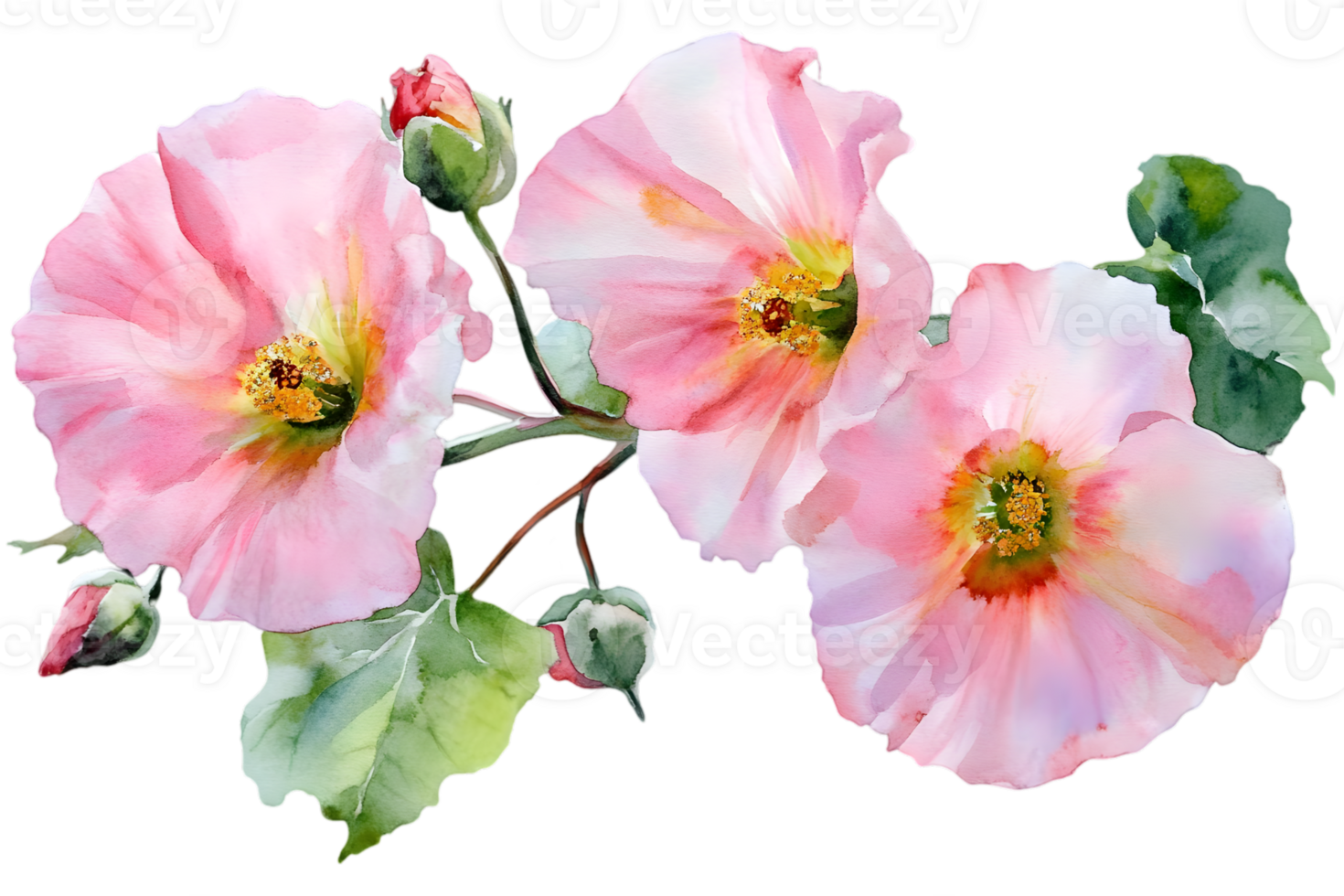 Watercolor Painting of Pink Flowers with Green Leaves on Transparent Background Delicate Botanical Art for Decoration and Design png