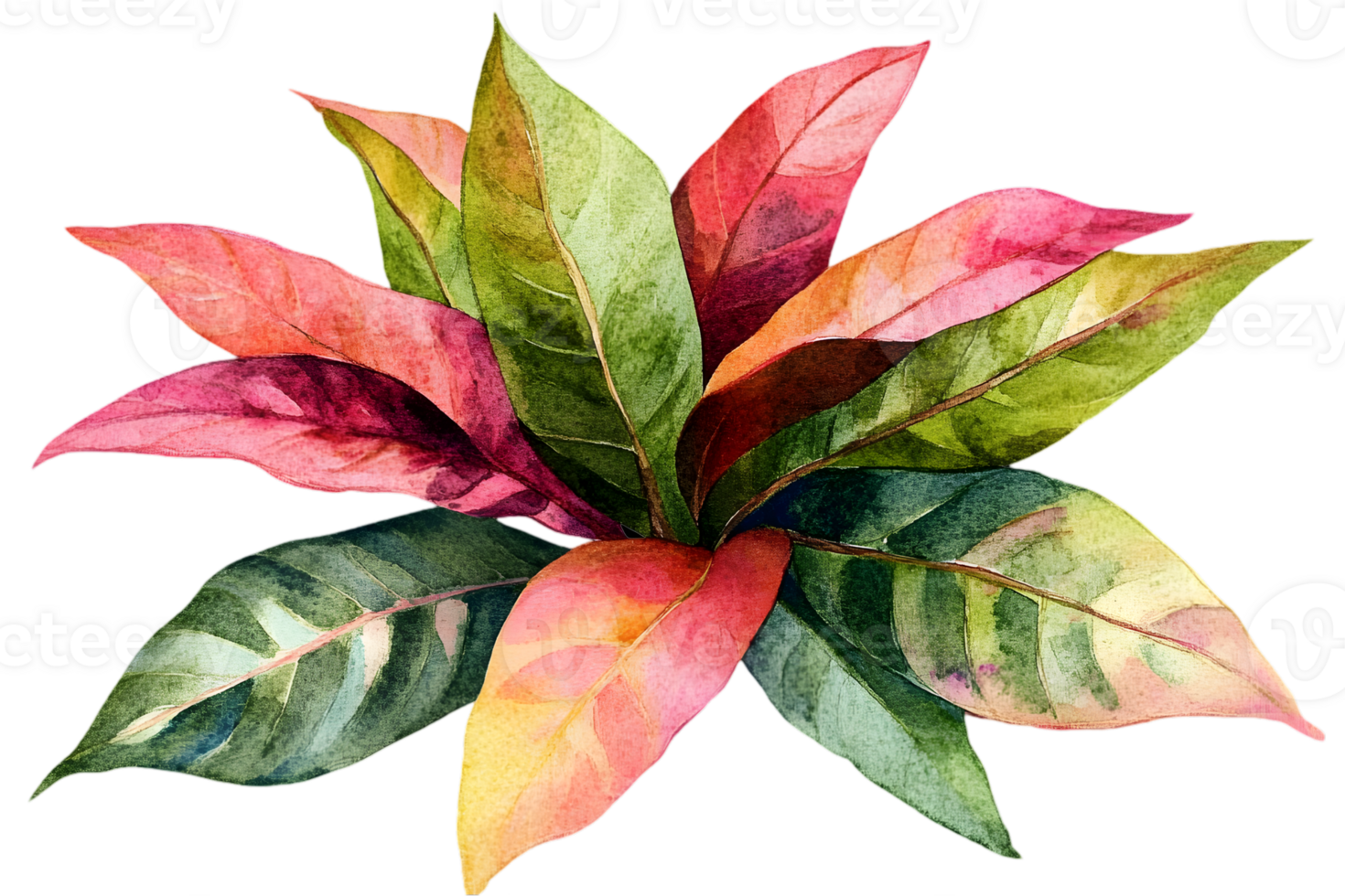 Watercolor Leaves in Green and Red Tones Botanical Foliage with Detailed Texture Fresh Plant Art Isolated on Transparent Background png