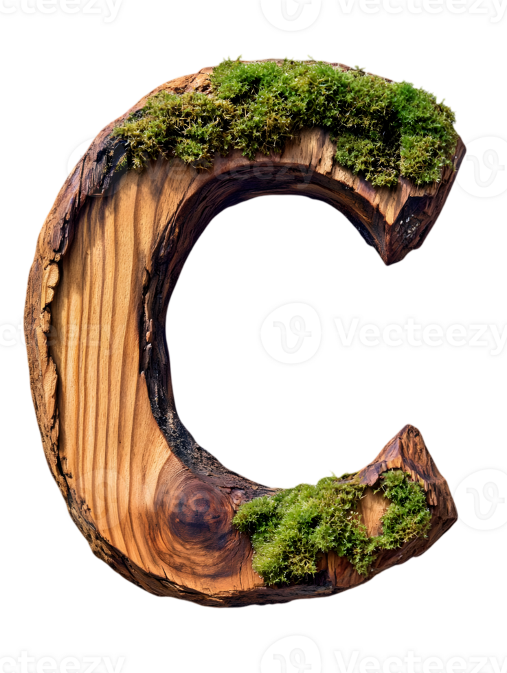 Wooden Letter C Decorated with Green Moss Isolated on Transparent Background Decorative Alphabet Typography png