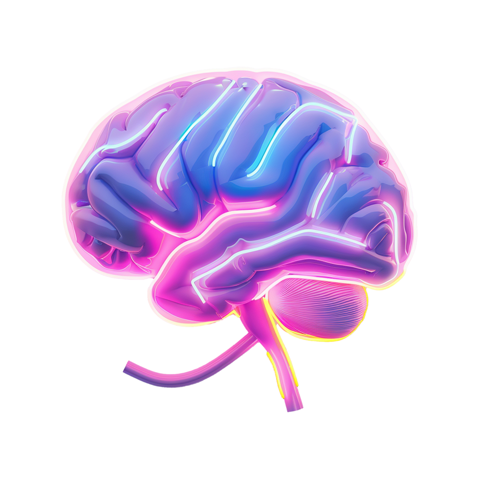 Neon Brain Artistic Rendering of Human Brain Anatomy with Vibrant Pink and Blue Colors png