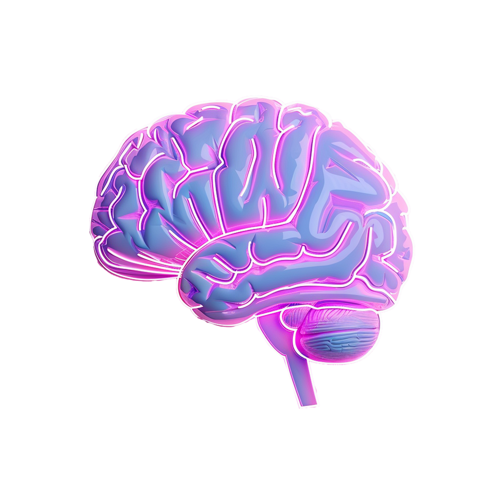 Neon Pink and Blue Human Brain Anatomy Illustration 3D Render png