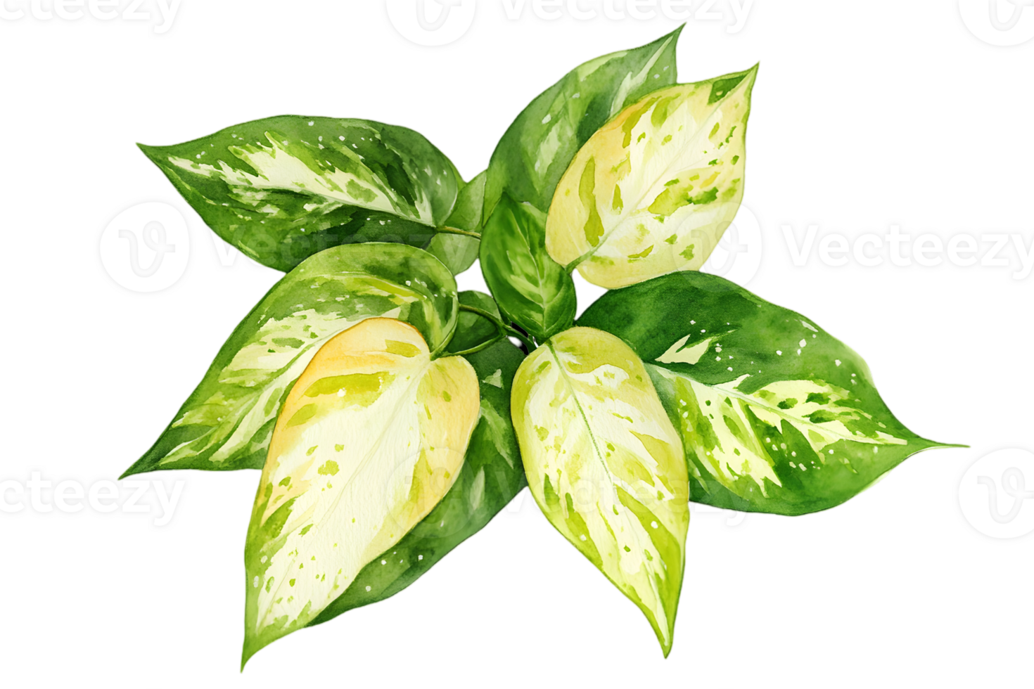 Watercolor Illustration of Green Leafy Plant with Yellow Spots on Transparent Background Art Element png