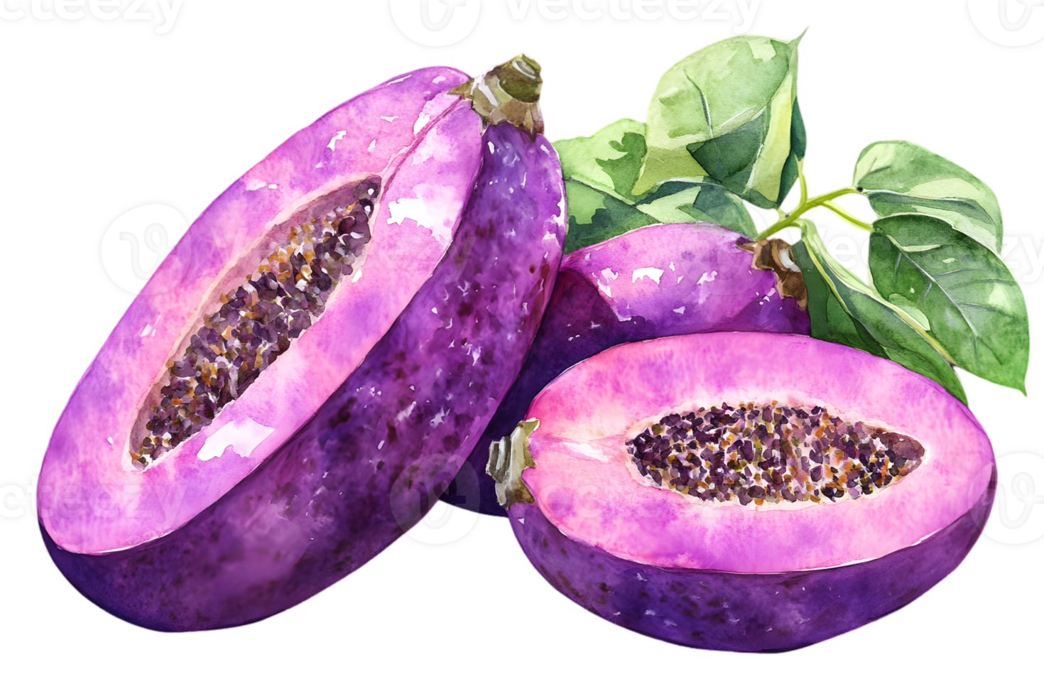 Watercolor Illustration of Plums with Purple Hues and Delicate Leaf Detail Isolated on a Transparent Background for Graphic Design Elements png