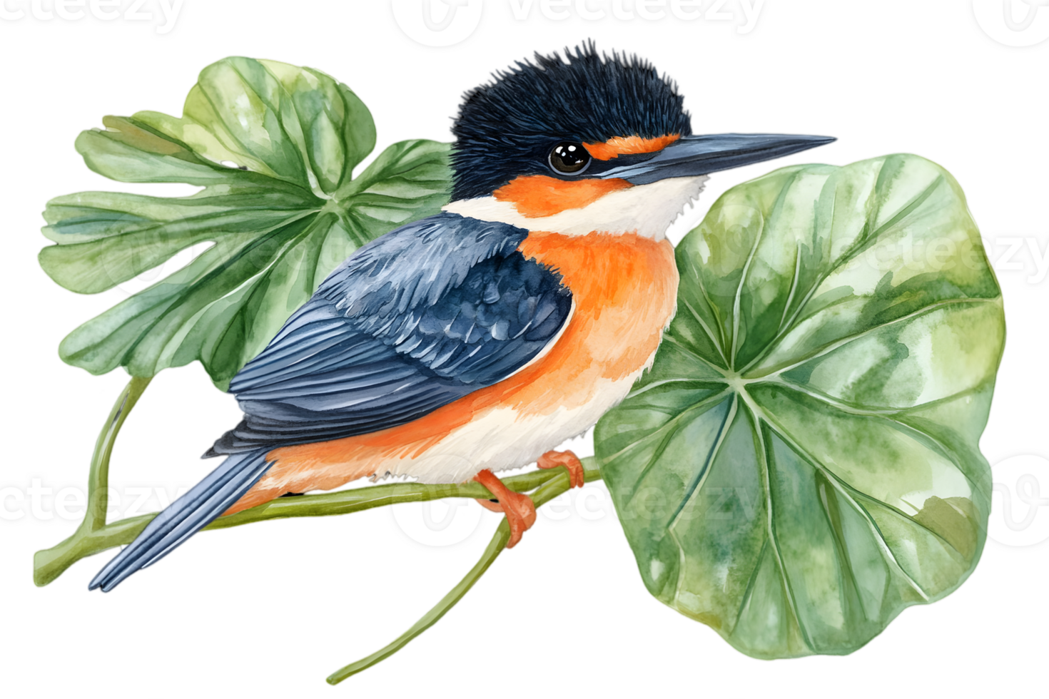 Watercolor Illustration of Kingfisher Bird Perched on Branch with Leaves on Transparent Background Wildlife Theme and Black Orange and Green Color Palette png