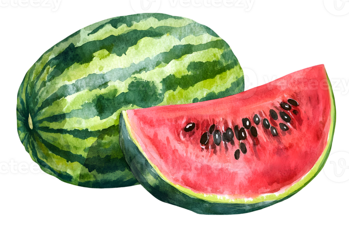 Watermelon Still Life Featuring Slice with Red Pulp on Transparent Background Fruit Slice Illustration with Green Rind Macro Seeds Watercolor Style png