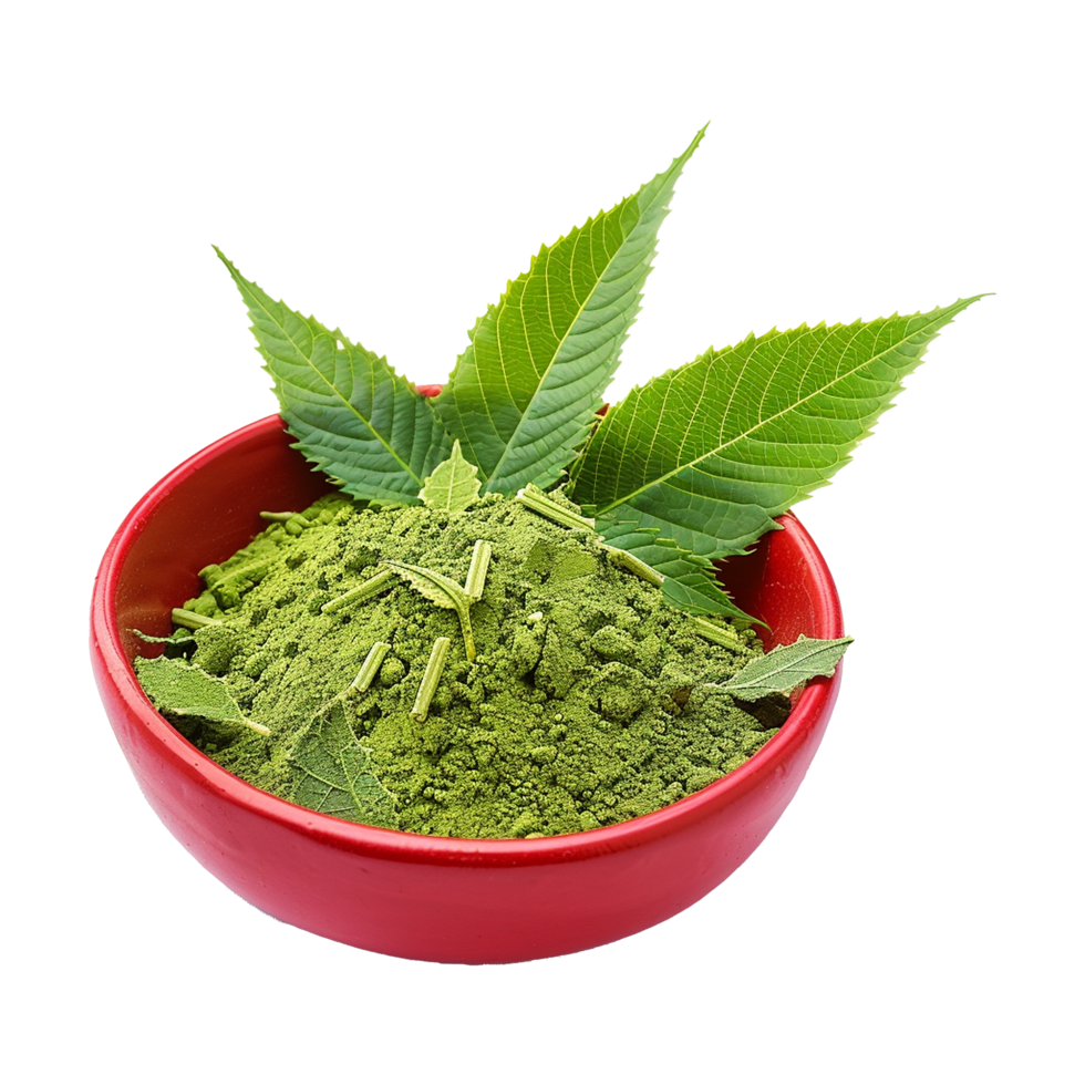 Fresh Green Henna Powder in a Red Bowl with Lush Green Leaves png