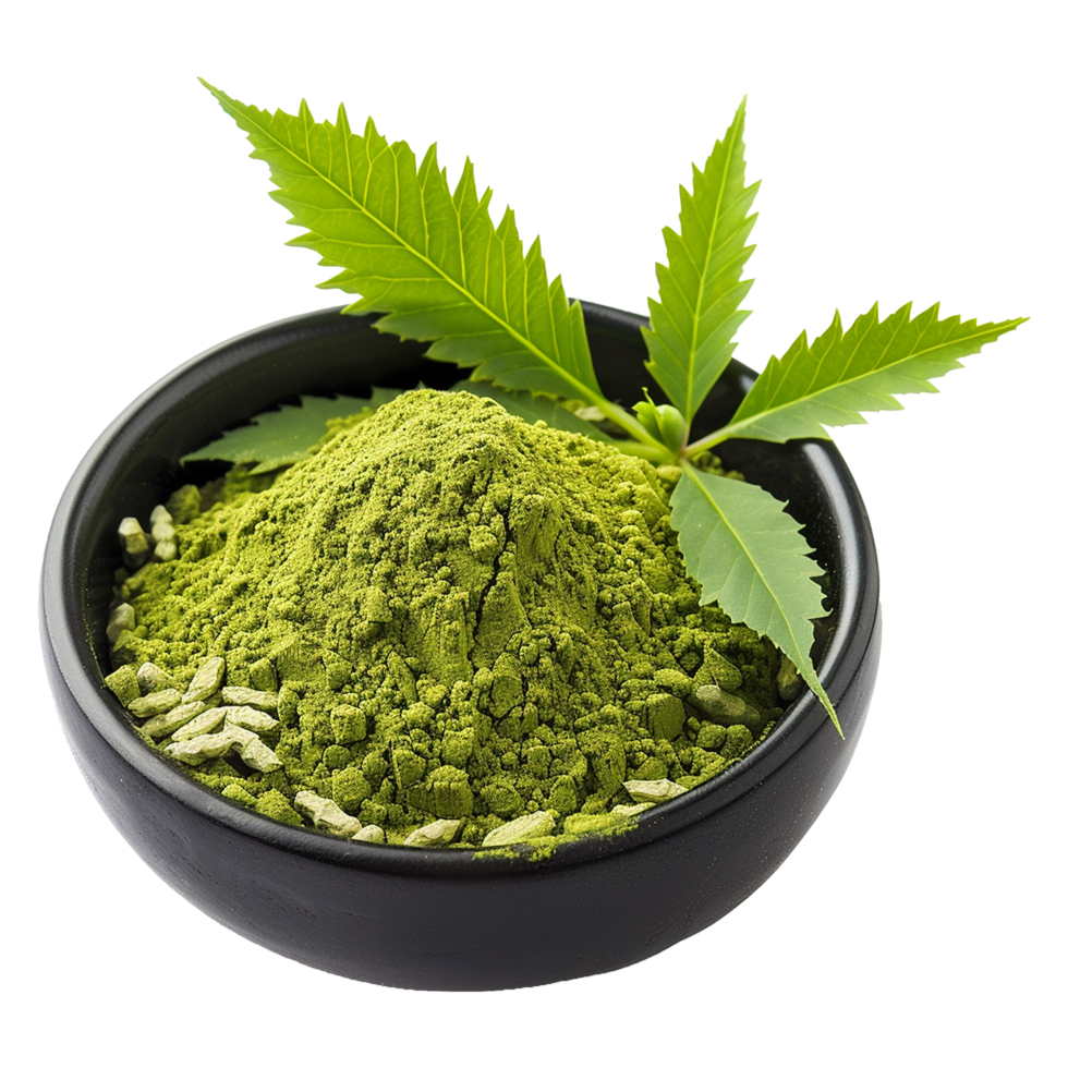 Aromatic Neem Powder in a Black Bowl with Fresh Neem Leaves png
