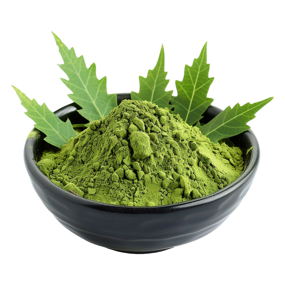 A Bowl of Neem Powder with Fresh Neem Leaves png