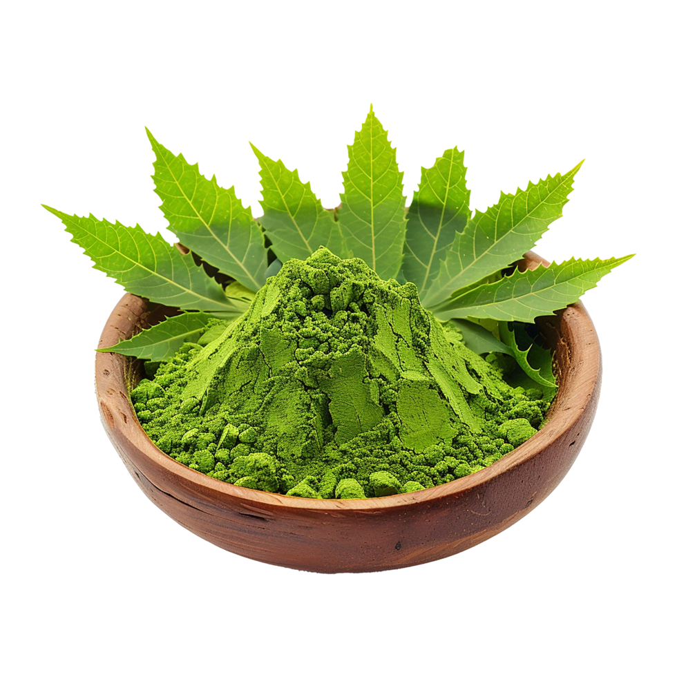 Organic Neem Powder in Wooden Bowl with Fresh Neem Leaves png