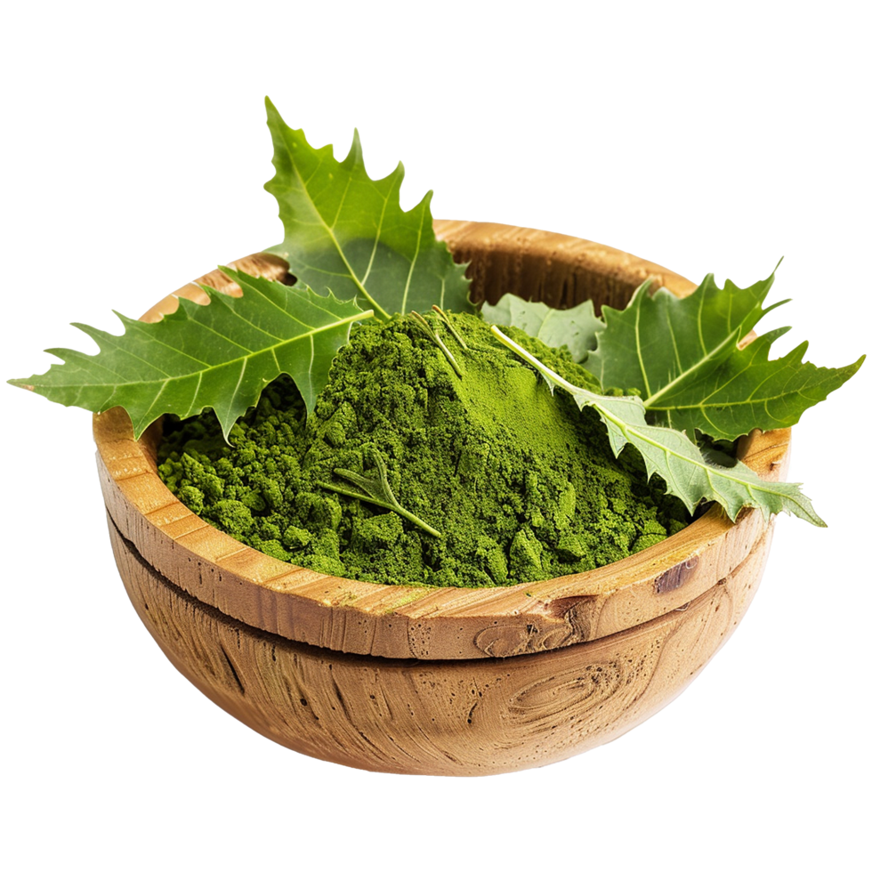 A Organic Green Herbal Powder in Wooden Bowl with Fresh Leaves png