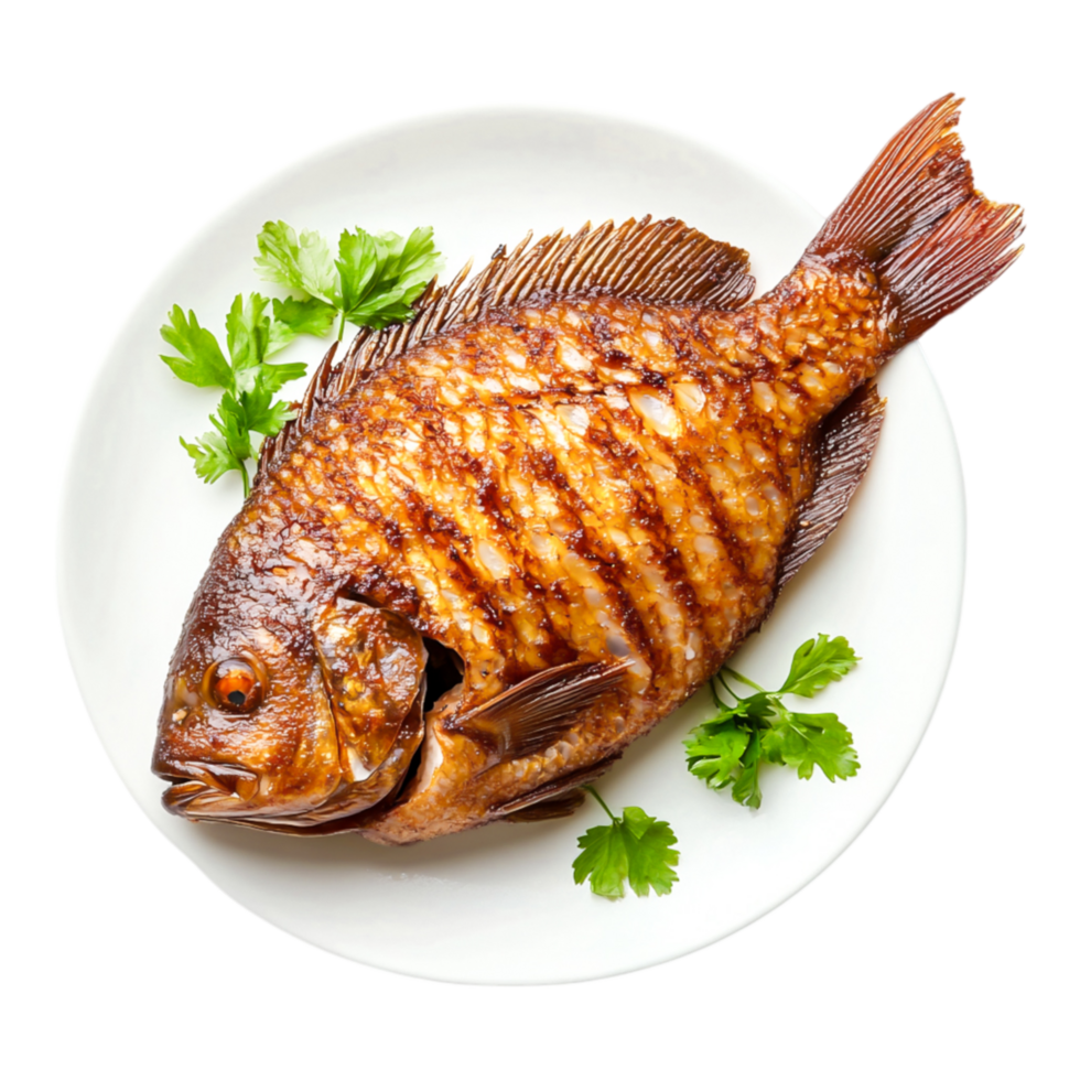 Grilled Whole Fish Garnished with Fresh Herbs on White Plate png