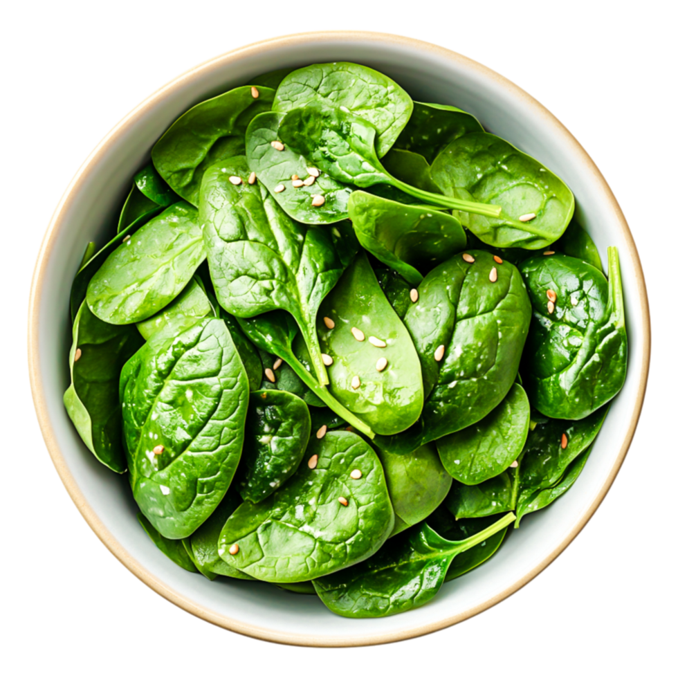 Fresh Spinach Leaves with Sesame Seeds in a White Bowl Overhead View png
