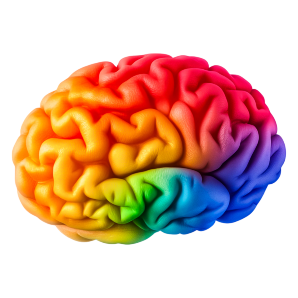 Colorful Brain Representation Showing Diversity in Human Thought Processes png