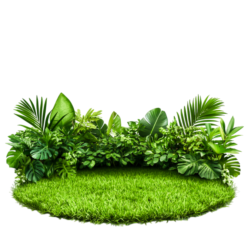 Lush Green Tropical Plants with Vibrant Foliage and Grass Background png