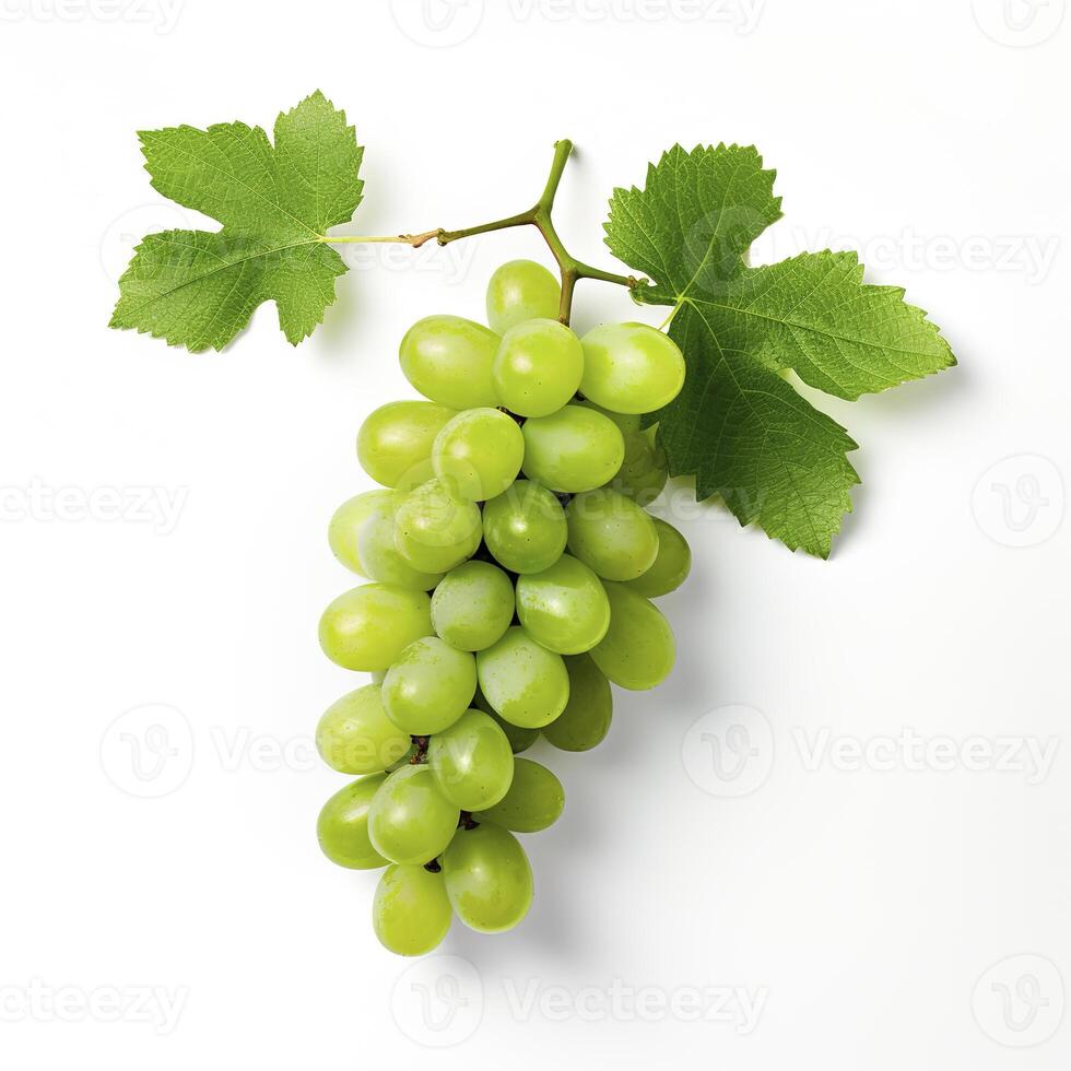 A bunch of green grapes on a white background photo
