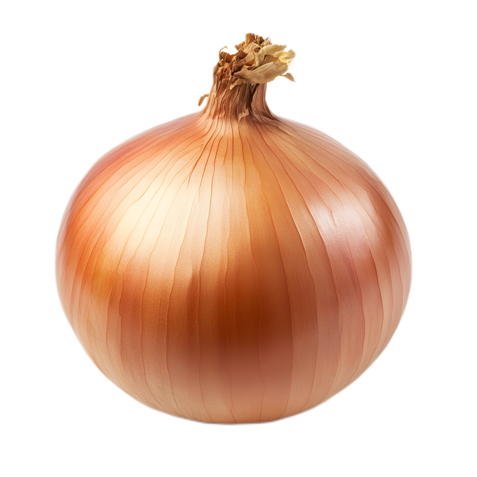 Close up of a Ripe Orange Onion with Textured Skin on a White Background png