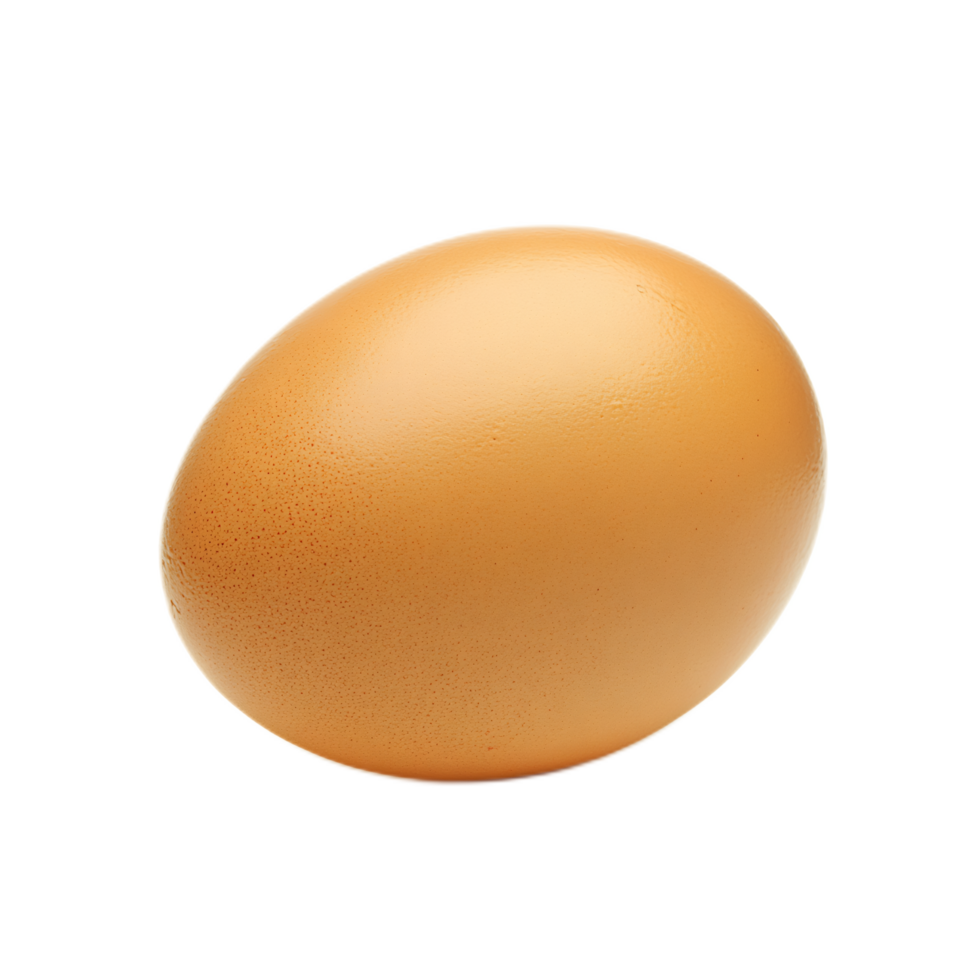 Close-up of a fresh brown chicken egg on a plain white background png