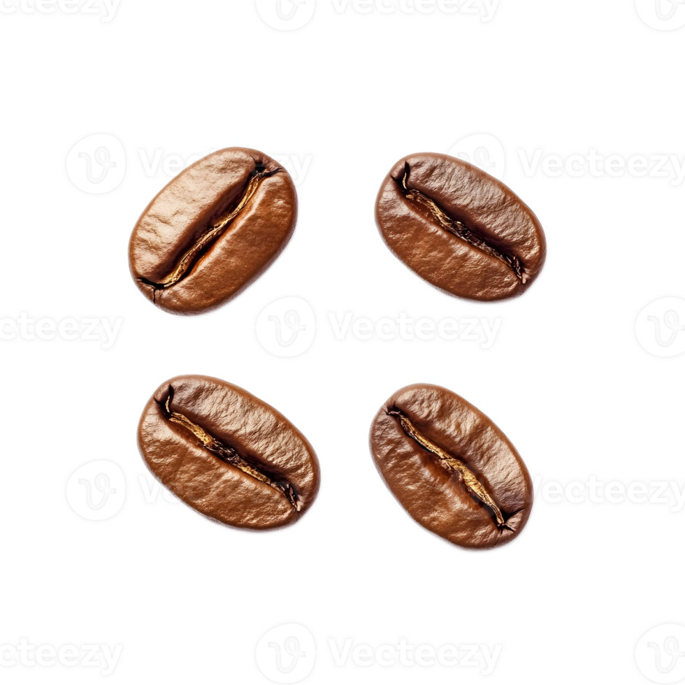 Closeup of Freshly Roasted Coffee Beans with Aromatic Scent and Rich Texture on Smooth Background png
