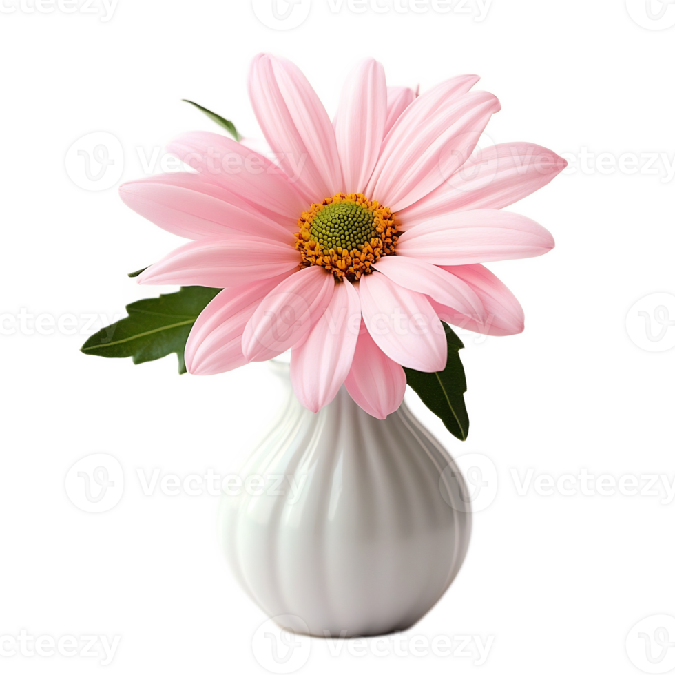 Delicate Pink Daisy Flower Arrangement in White Ceramic Vase on Wooden Table png