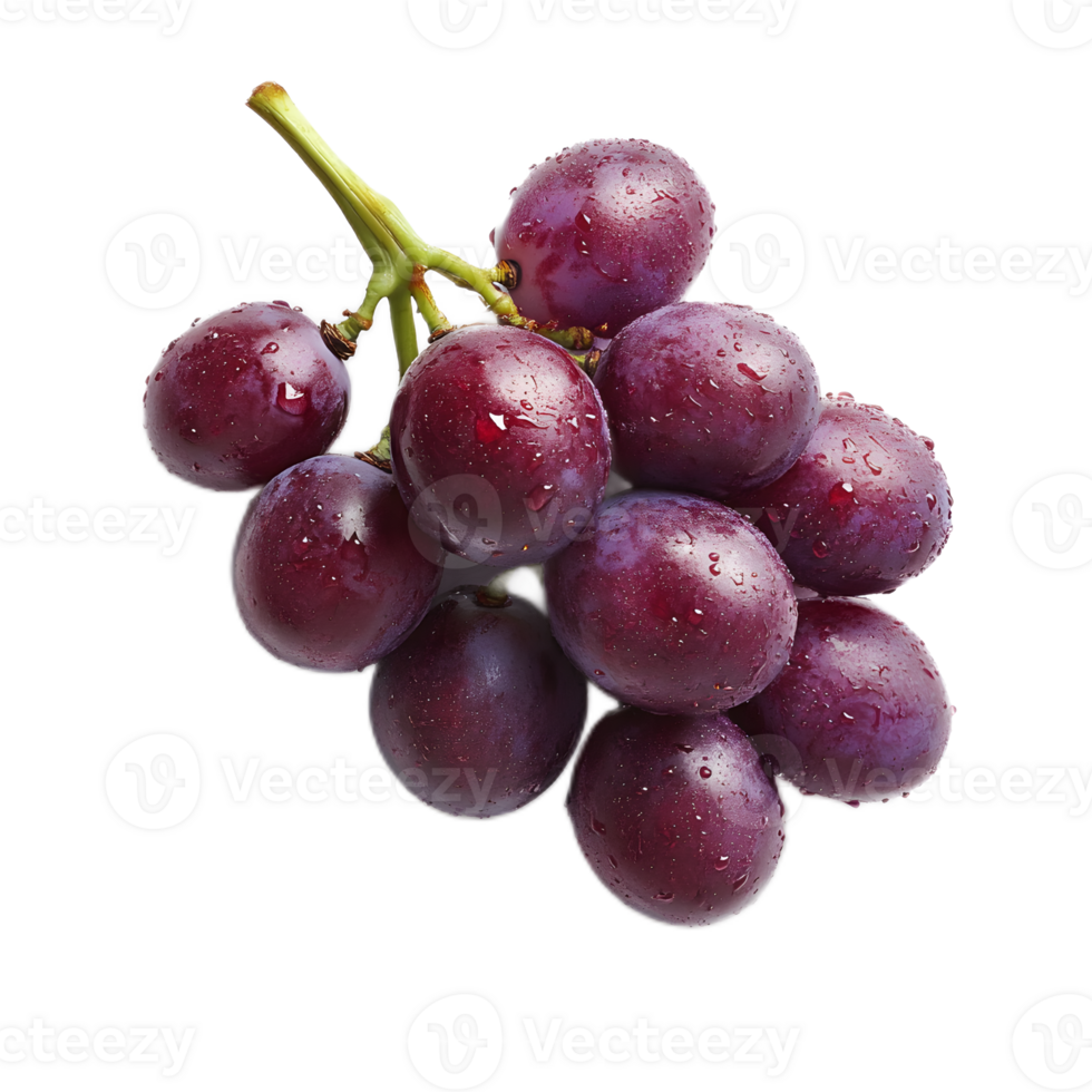 Delicious Cluster of Fresh Juicy Purple Grapes Closeup on Transparent Background png