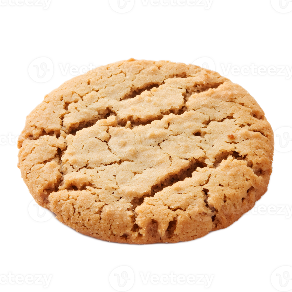 Freshly Baked Golden Buttermilk Biscuit on Plain Background png