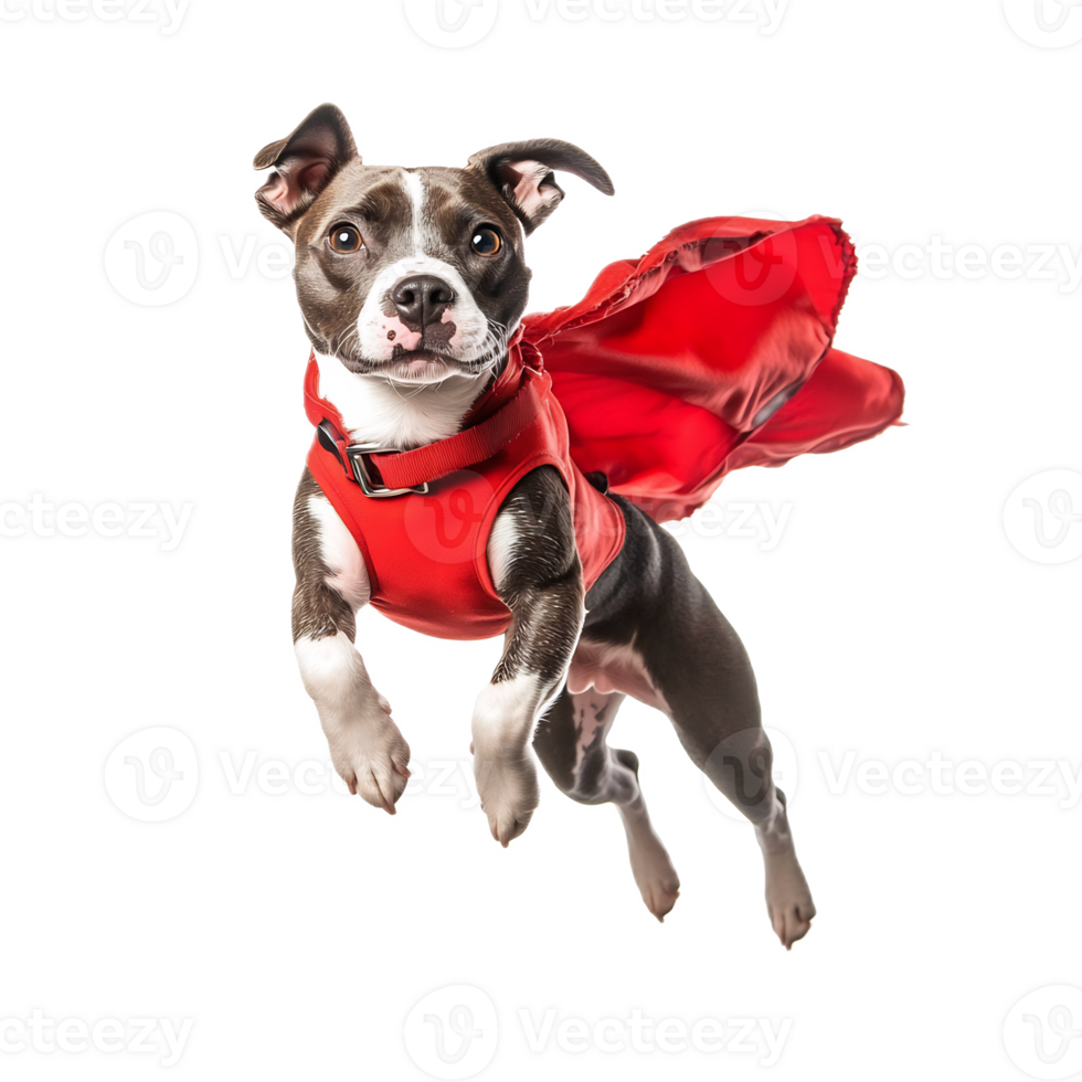 Energetic Canine Superhero Leaping in Dynamic Motion png
