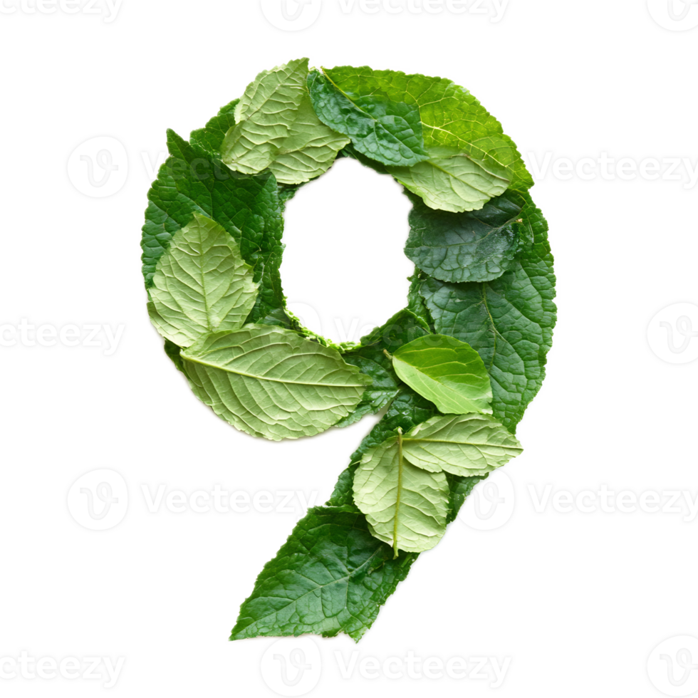 Geometric Leaf Shaped Number Nine in Natural Green Foliage Environment png
