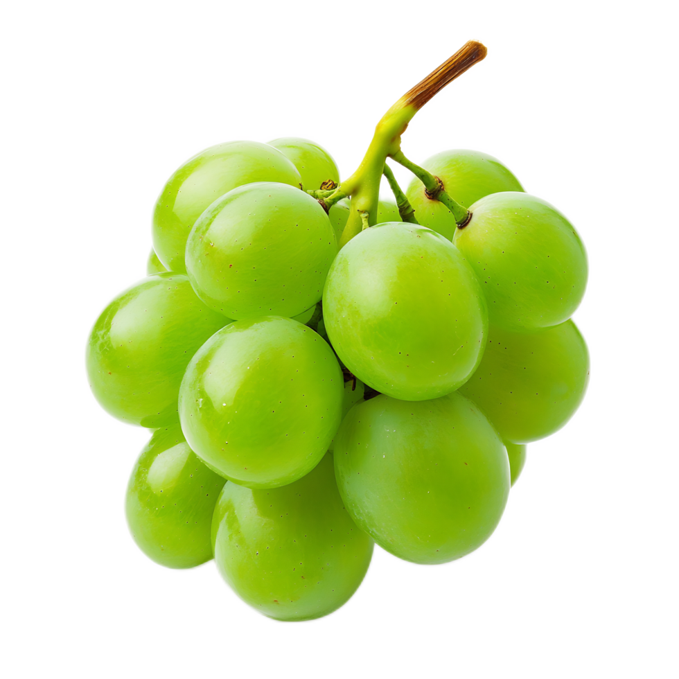 Close-Up of Lush Green Grape Cluster on Vine png