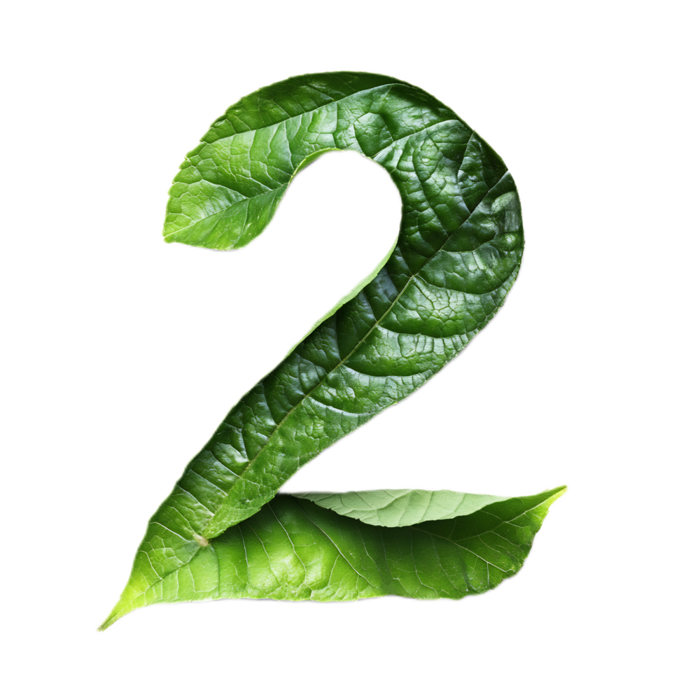Green Leaf Shaped Number Two in Nature Environment Abstract Background png