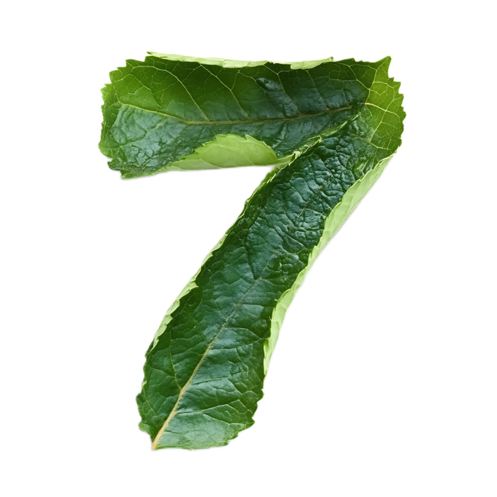 Green Leaf Forming Number Seven in Natural Environment png