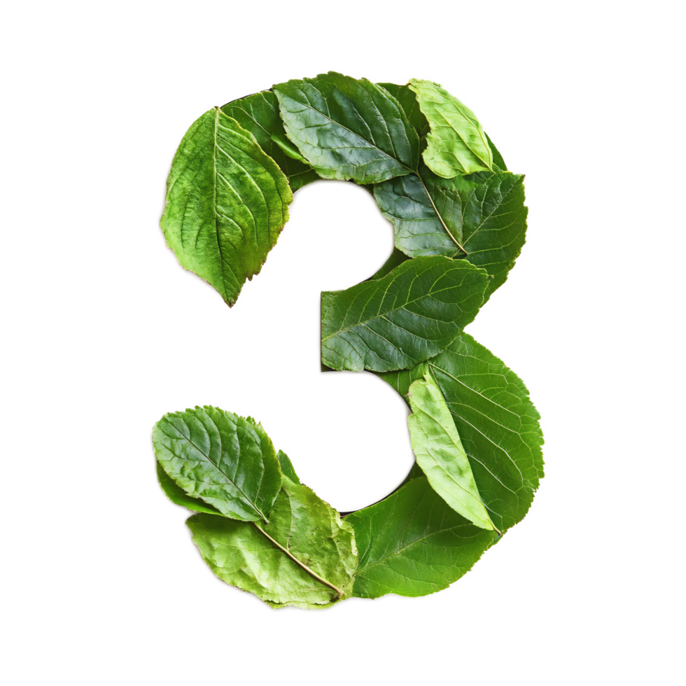 Green leaf forming number three,natural environment and floral png