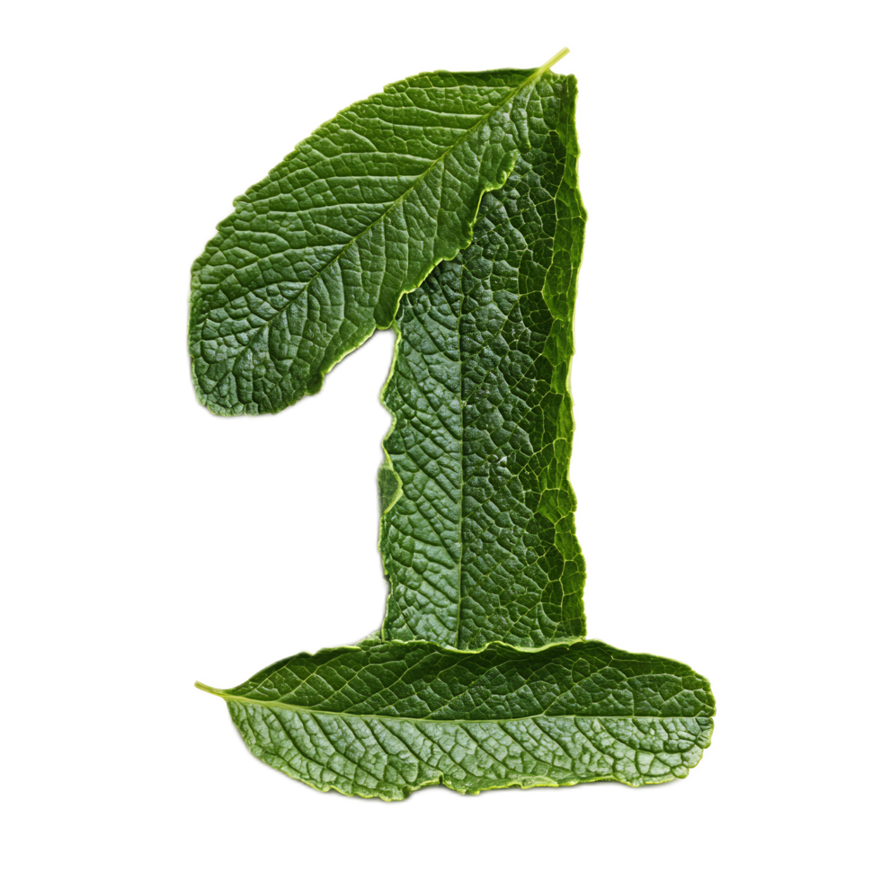 Green Leaf Forming the Number One for Nature and Environmental Concept png