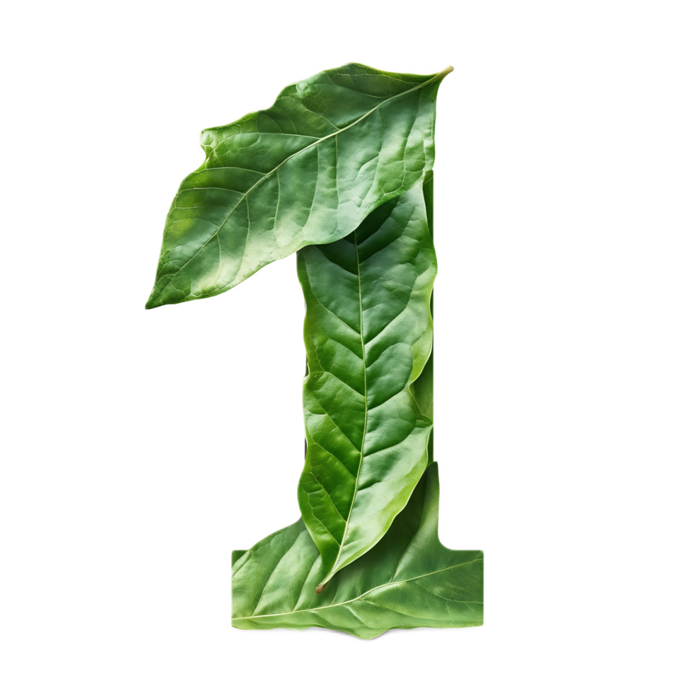 Leaf Shaped Number One Highlighting Natural Environment and Organic Design png