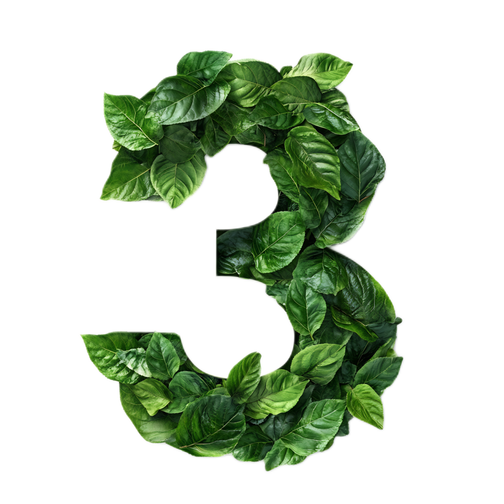 Leaf Shaped Number Three in Nature Symbolizing Environment png