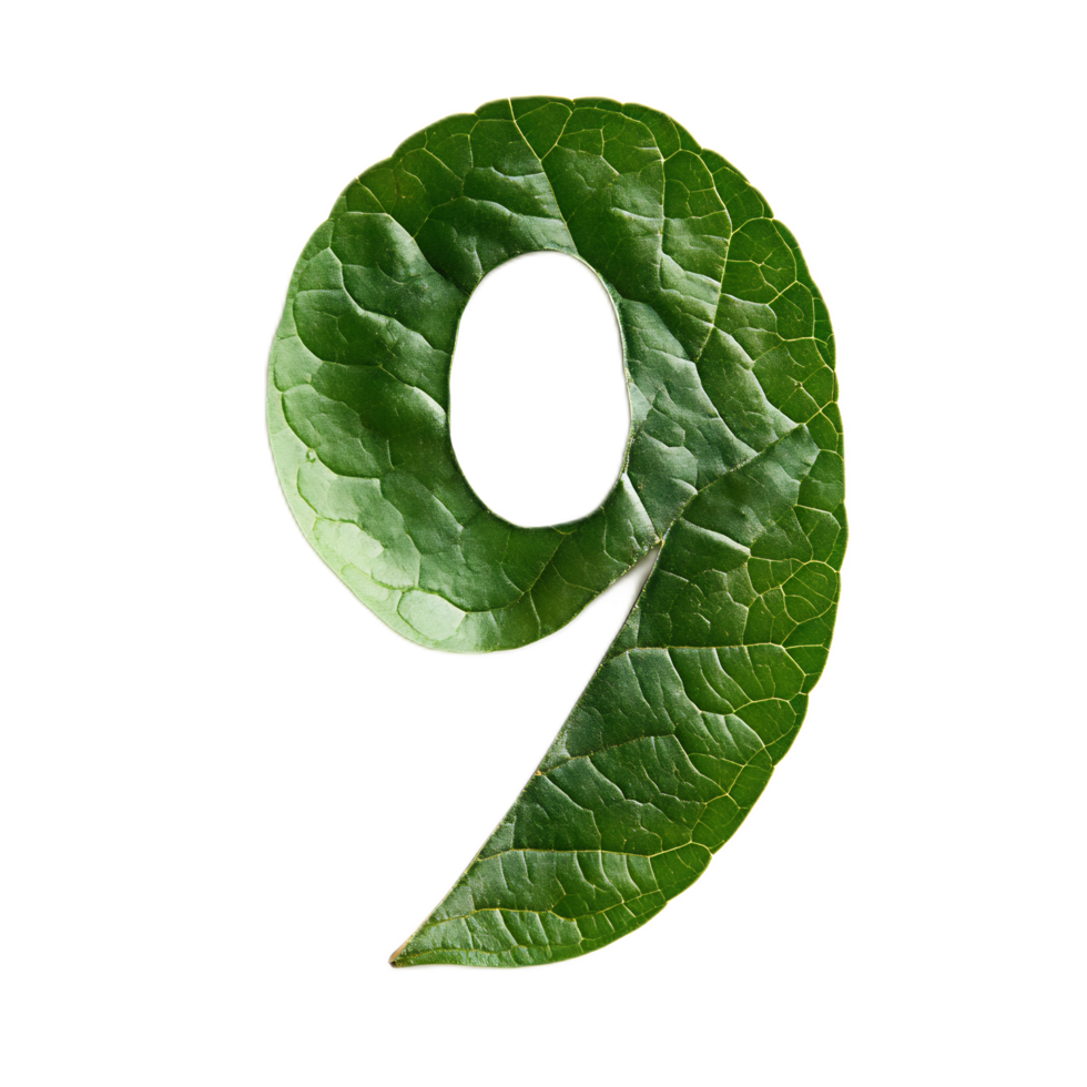 Leaf Shaped Number Nine Conceptual Green Nature Background png