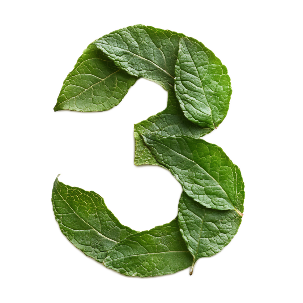 Leaf Shaped Number Three in Green Eco-Friendly Environment png