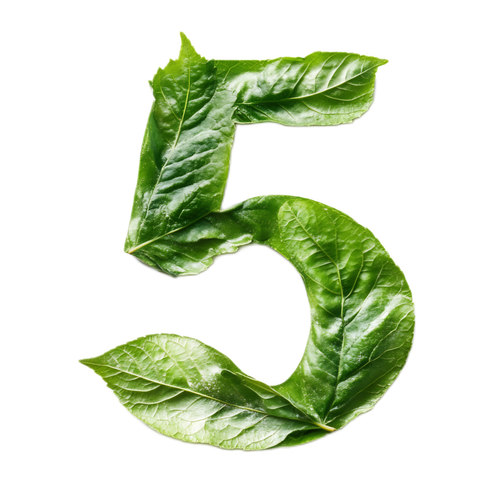 Leaf Shaped Number Five in Green Natural Environment png