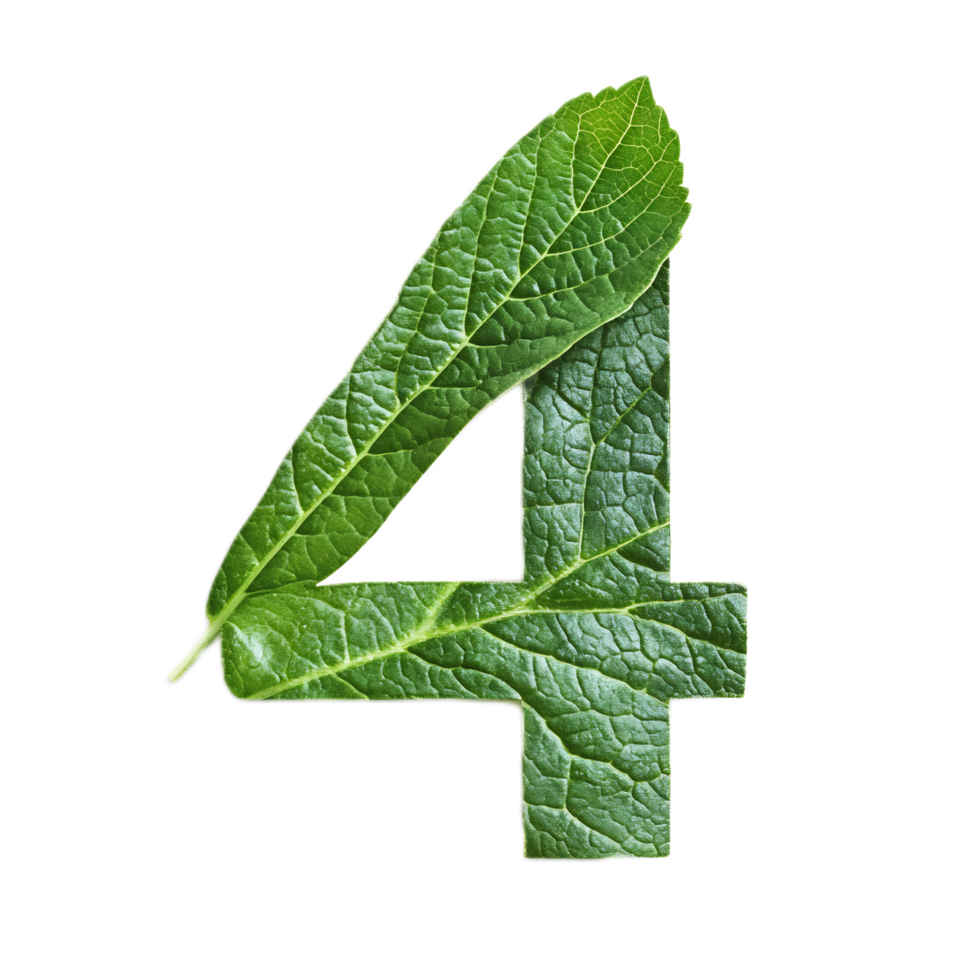 Leaf Design Informing the Number Four in Natural Green Environment png