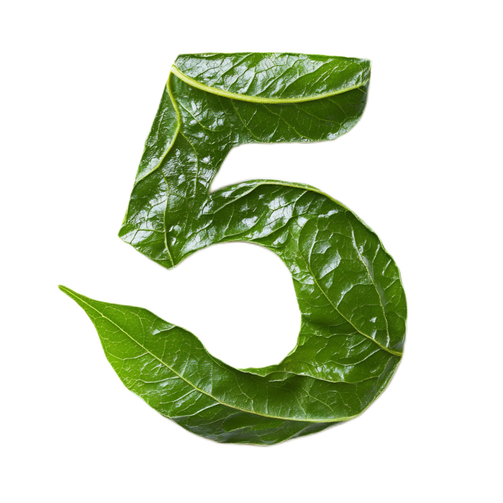Leaf Forming the Number 5 in Natural Green Environment png