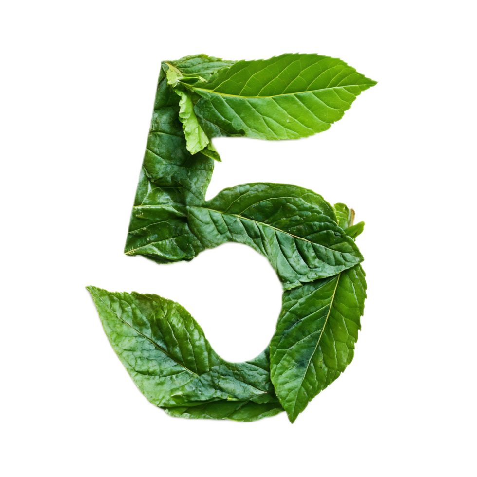 Leaf Forming the Number Five in Natural Environment png