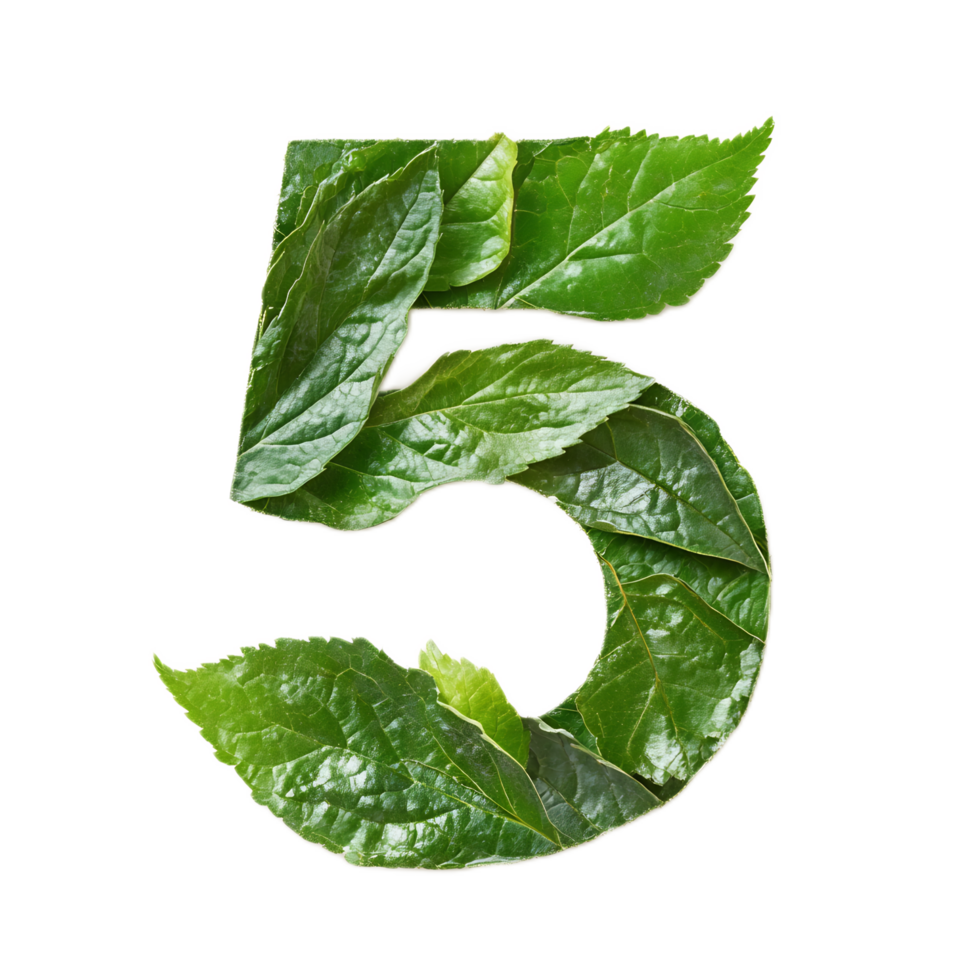 Leaf Forming the Number Five in Green Natural Environment png