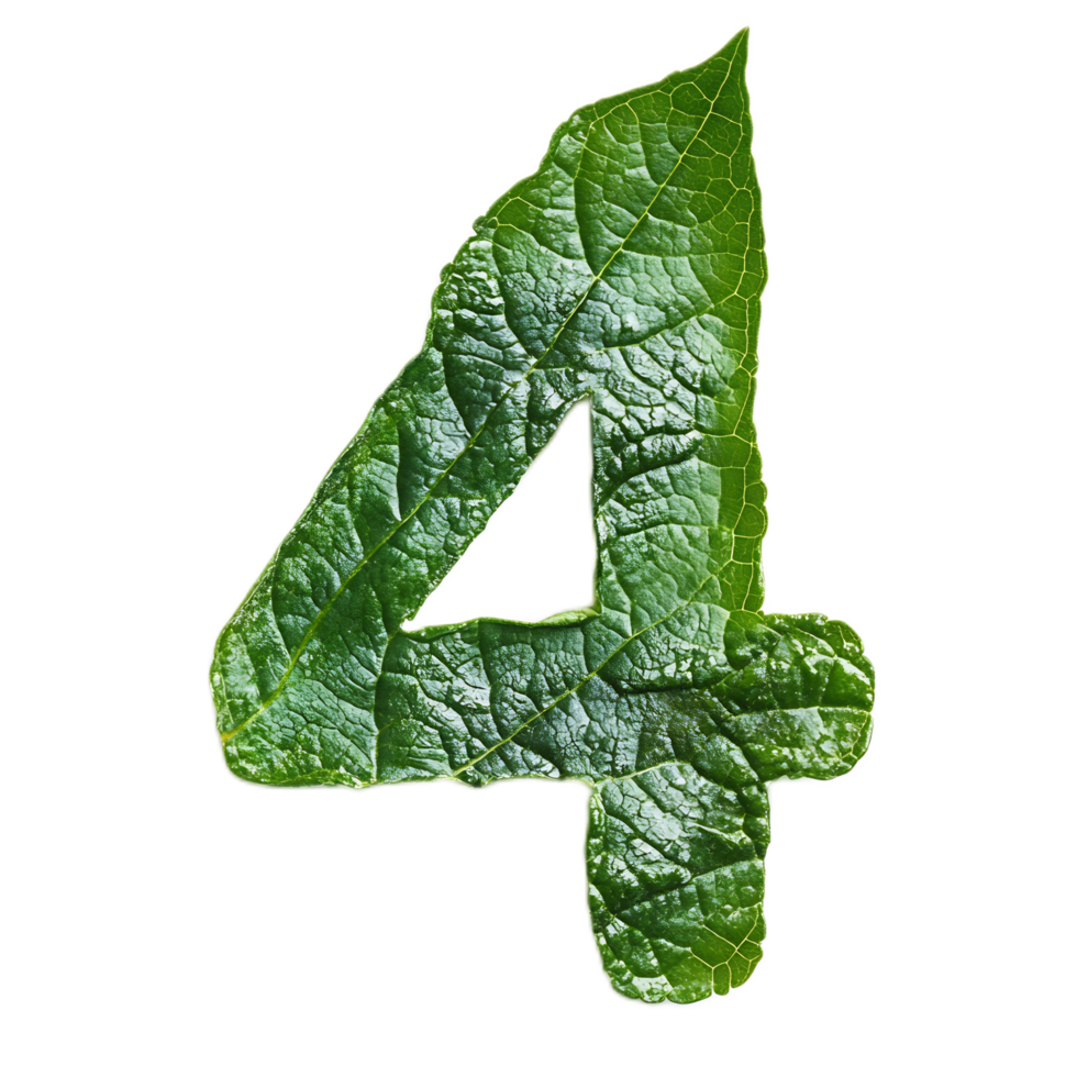Leaf Forming the Number Four in a Natural and Organic Environment png