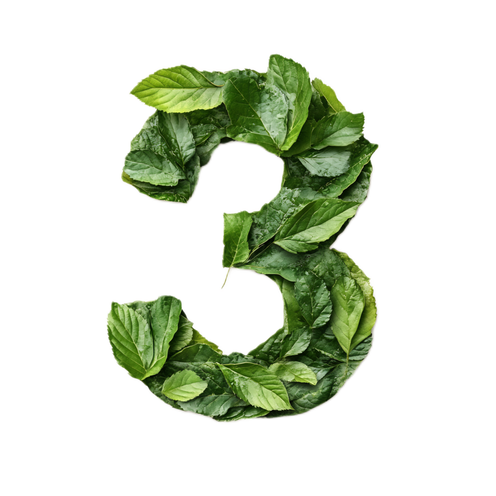 Leaf Forming the Number Three in a Green Natural Environment png
