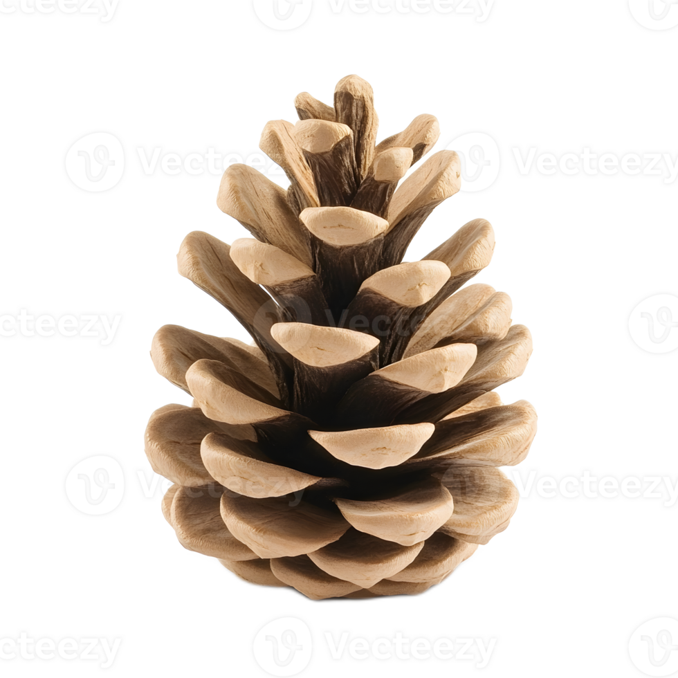 Detailed Closeup of a Symmetrical Pine Cone Displaying Its Intricate Natural Patterns and Textures png
