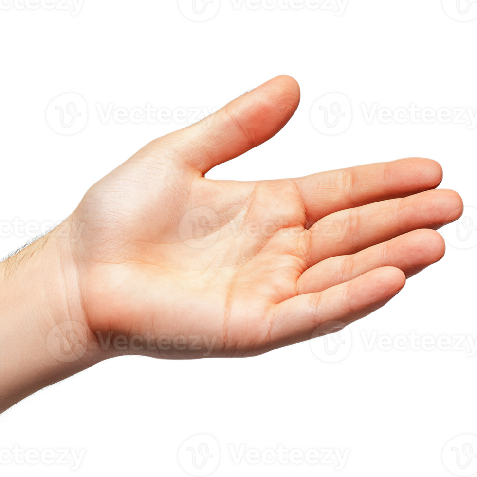 Open Palm Hand Gesture Reaching Out to Help or Receive Assistance png